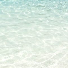 洋服の素材viscoseって何？