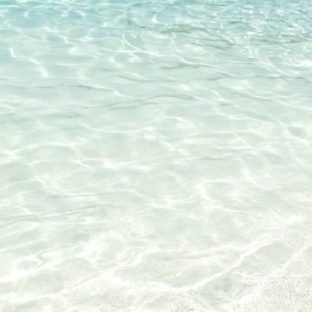 洋服の素材viscoseって何?