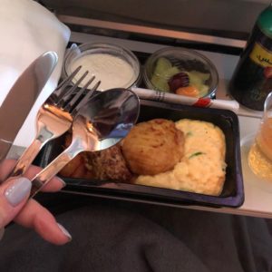 ブログ画機内食