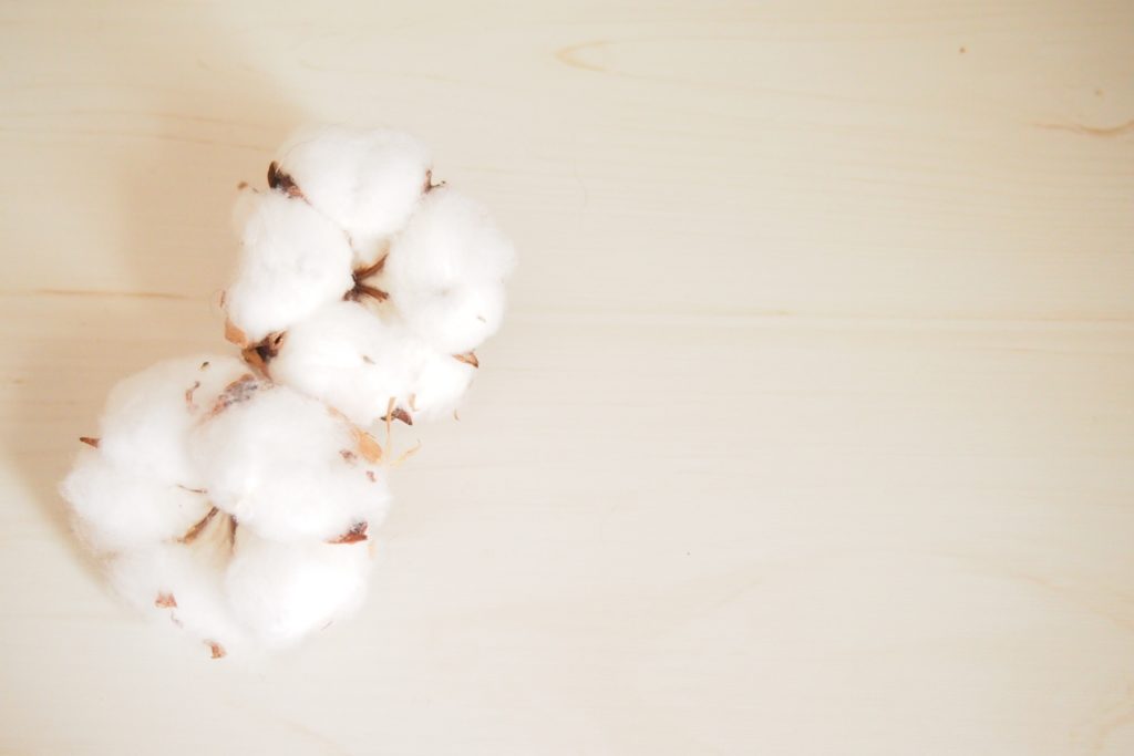 綿花
