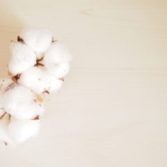 ニュースになったユニクロ綿