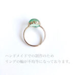 エロディーパヴィアクセサリー
