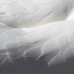 知っておきたい！サスティナブルなファッション素材【４選】