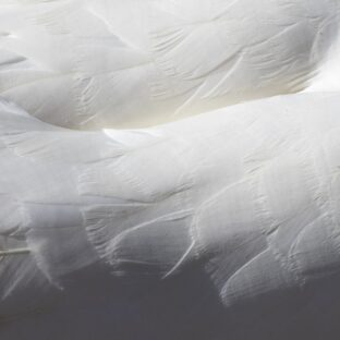 知っておきたい!サスティナブルなファッション素材【4選】