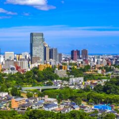 夏の帰省と再会に、“小さなギフト”を...